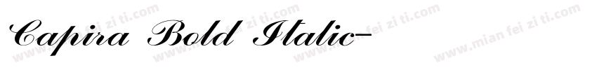 Capira Bold Italic字体转换